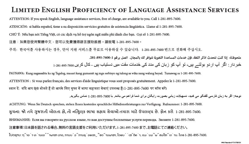 Limited english proficiency of language assistance services